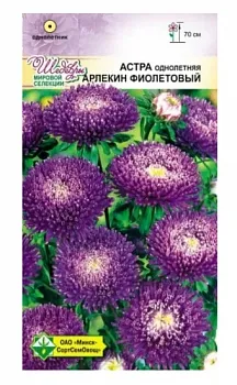 Астра Арлекин Фиолетовый 0,2г МинскСортСемОвощ