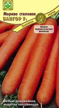 Морковь Бангор F1 столовая 200шт МинскСортСемОвощ