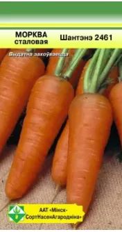 Морковь столовая Шантенэ 2461, 2г, 59151