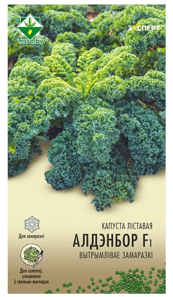 Капуста листовая Олденбор F1 12шт (Эксперт) МинскСортСемОвощ