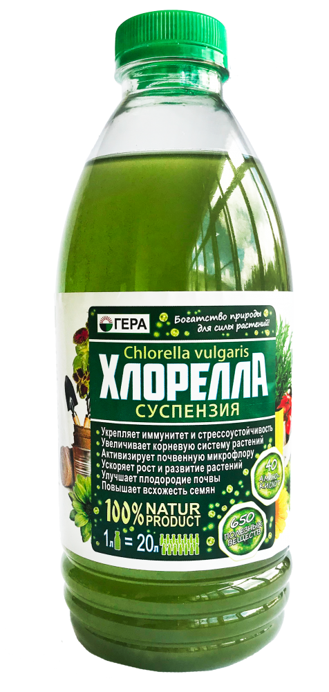 Суспензия Хлорелла 1л Гера