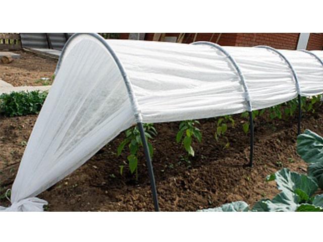 Парник Фазенда Люкс, 8м, Остров Комфорта