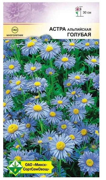Астра альпийская Голубая 0.1г МинскСортСемОвощ