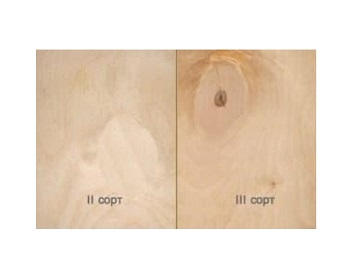 Фанера Ш2 1525x1525x9 сорт 2/3, Фандок