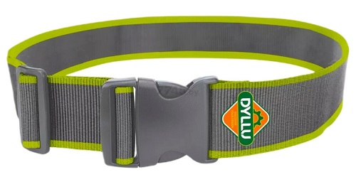 Пояс для инструментов DYLLU DTTG1100