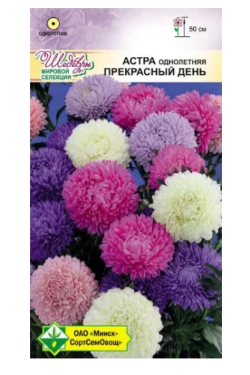 Астра Прекрасный день см 0.1г МинскСортСемОвощ