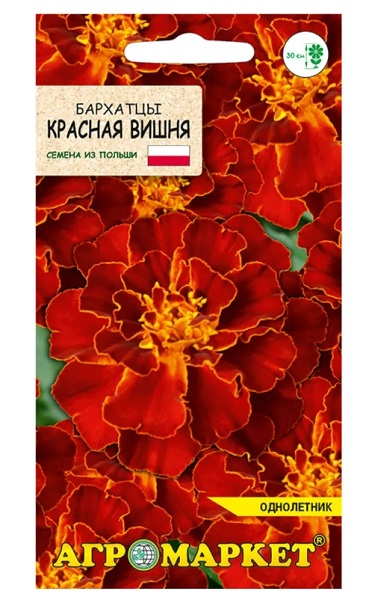 Бархатцы Красная вишня 0,5г Агромаркет