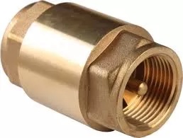 Клапан обратный 1