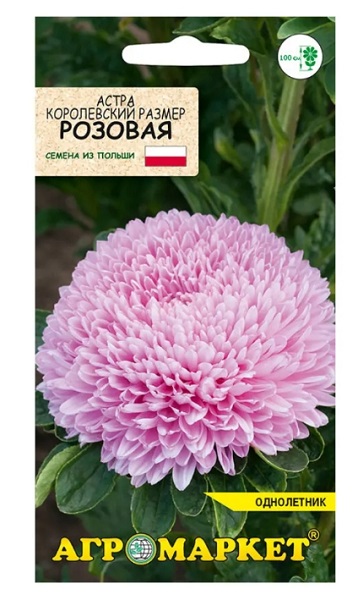 Астра Королевский размер Розовая 0,5г Агромаркет