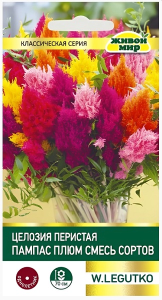 Цeлoзия пepиcтaя Пaмпac плюм cмecь (W. Legutko) 0,3 г Живой мир
