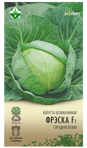 Капуста б/к Фреско F1 12шт (Эксперт) МинскСортСемОвощ