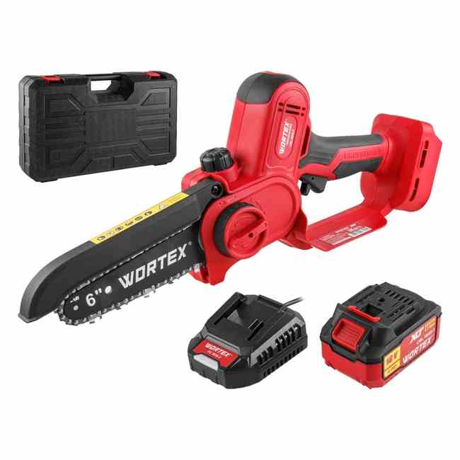 Пила цепная аккумуляторная WORTEX CEC 2518-2 (АКБ, ЗУ, кейс)