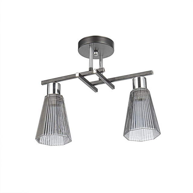 Светильник потолочный Aitin-Pro НПБ 02-2x60-101 / 6289/2 черный/хром