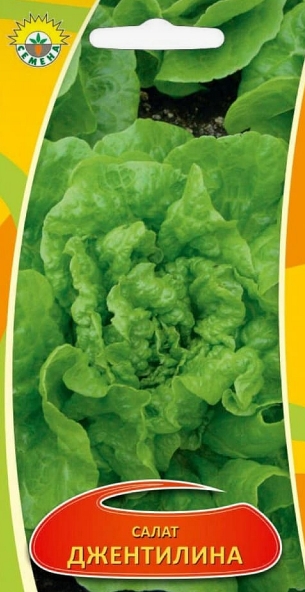 Салат Джентилина п.2601 1г ИП СЕМЕНА