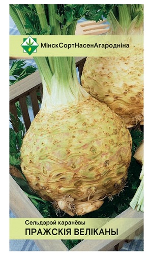 Сельдерей корневой Пражские Великаны 0.3г МинскСортСемОвощ