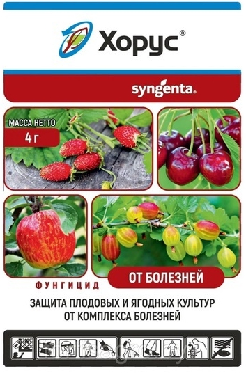 Фунгицид Хopyc BДГ 4г