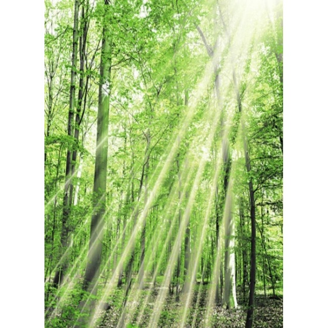 Занавеска для ванной 180х180 см Zalel YQL-DX-127