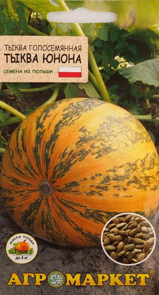 Тыква Юнона (голосемянная), 5шт Агромаркет