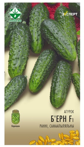 Огурец Бьерн F1 10шт (Эксперт) МинскСортСемОвощ