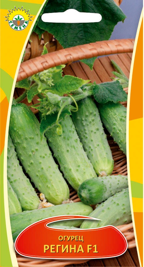 Огурец Регина F1 0,3г ИП СЕМЕНА