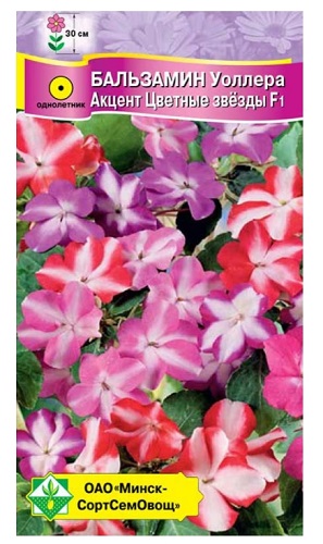 Бальзамин Уоллера Акцент Цветные звезды F1 7шт МинскСортСемОвощ