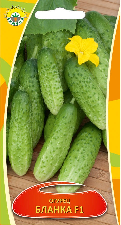 Огурец Бланка F1 0,3г ИП СЕМЕНА