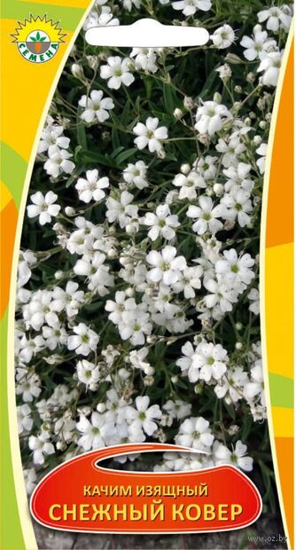 Качим изящный Снежный ковер ИП СЕМЕНА