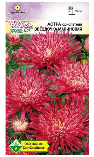 Астра Звездочка Малиновая 0.1г МинскСортСемОвощ
