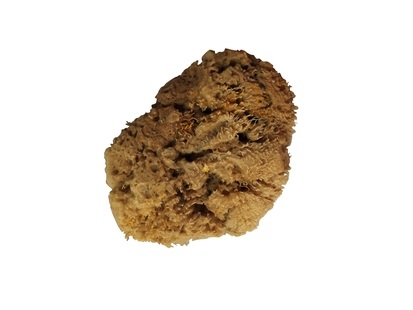 Губка натуральная морская малая 10 см, STMDECOR M88