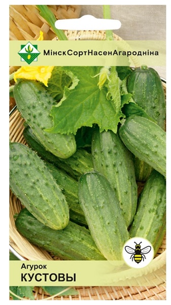 Огурец Кустовой 0.6г МинскСортСемОвощ