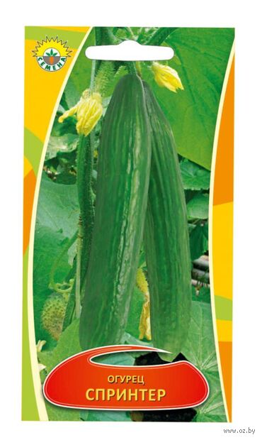 Огурцы Спринтер ИП СЕМЕНА