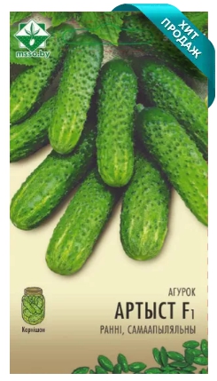 Огурец Артист F1 10шт (Эксперт) МинскСортСемОвощ