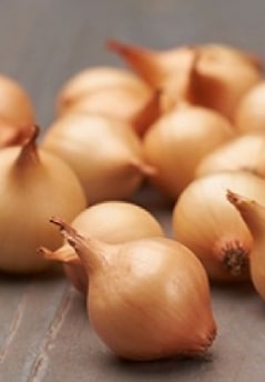 Лук севок Штутгартер ризен 0,5 кг МинскСортСемОвощ