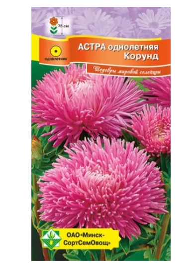 Астра Ювелирная Корунд 0.15г МинскСортСемОвощ