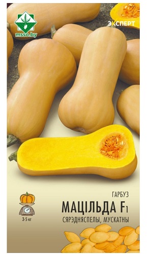 Тыква Матильда F1 мускатная 5шт (Эксперт) МинскСортСемОвощ