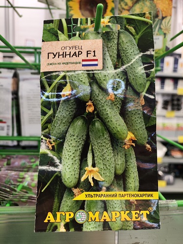 Огурец Гуннар F1, 7шт Агромаркет