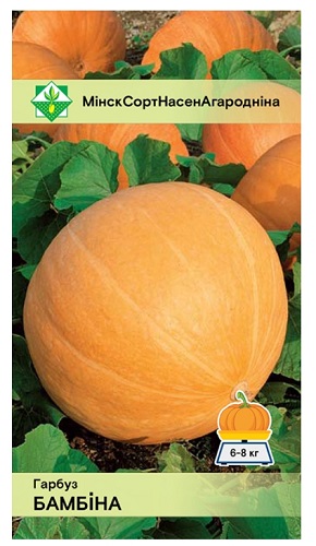 Тыква Бамбино 5шт МинскСортСемОвощ