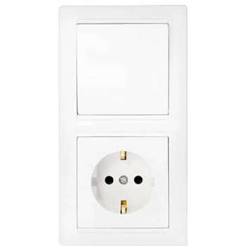 ВЫКЛЮЧАТЕЛЬ 1-клавишный Стиль с розеткой с заземлением Bylectrica В-РЦ-691