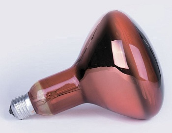 Лампа инфракрасная ИКЗК 220-250 R127 E27 красная колба КЭЗЛ