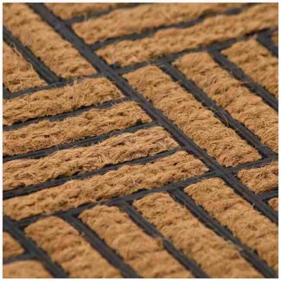 Коврик придверный кокосовый 45x75см Snail 700-030R