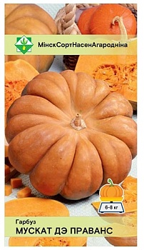 Тыква Мускат де Прованс 5шт МинскСортСемОвощ