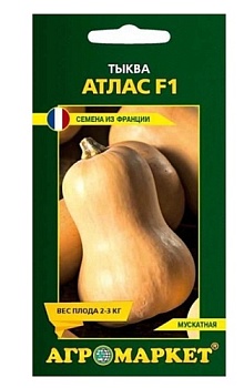 Тыква Атлас F1, 5шт Агромаркет