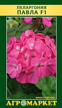 Пеларгония Павла F1, 5шт