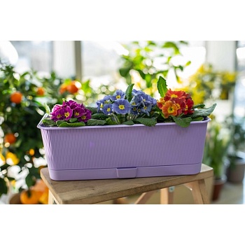 Ящик балконный Прованс, 57x17x13см, 9.5 л, лаванда с поддоном Ящик балконный Прованс, 57x17x13см, 9.5 л, лаванда с поддоном