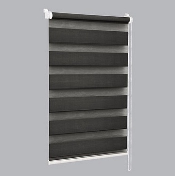 Штора рулонная СРШ-01МК-45818 день-ночь Delfa