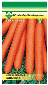Морковь Голландка столовая 1г МинскСортСемОвощ