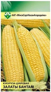 Кукуруза Золотой бантам сахарная 4г МинскСортСемОвощ