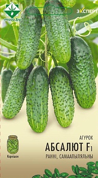 Огурец Абсолют F1 10шт (Эксперт) МинскСортСемОвощ