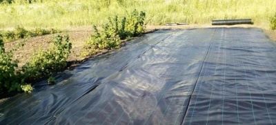 Агроткань черная 100г/м2 3.2 метра GreenTerra