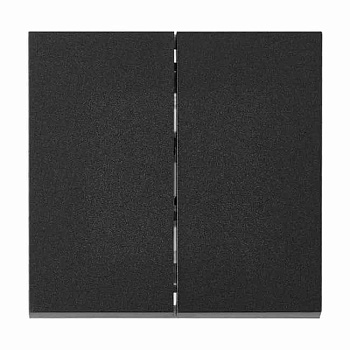 Выключатель 2-клавишный Carre графит Bylectrica С5 10-3602